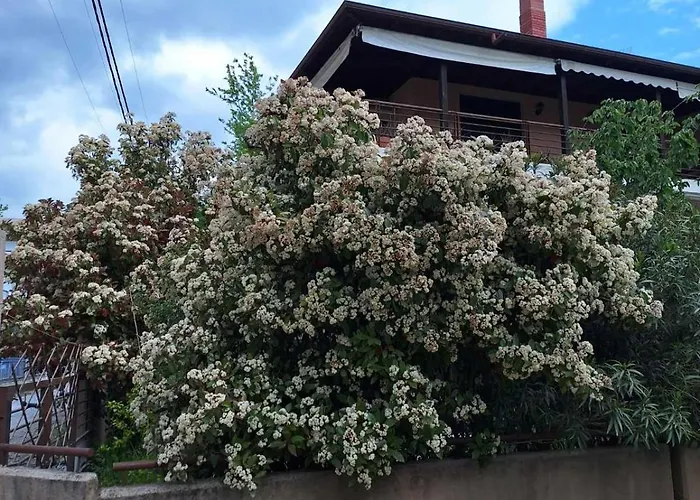 Appartement Garden Maisonnette 2-bedrooms Sleeps 6 Adults 200m From Sandy Asprovalta