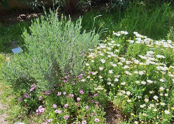 Garden Maisonnette 2-bedrooms Sleeps 6 Adults 200m From Sandy