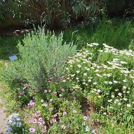 Garden Maisonnette 2-bedrooms Sleeps 6 Adults 200m From Sandy