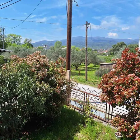 Daire Garden Maisonnette 2-bedrooms Sleeps 6 Adults 200m From Sandy